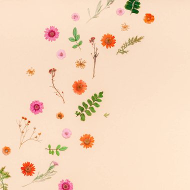 Yaratıcı en iyi görünüm düz sonbahar kompozisyon yatıyordu. Kurutulmuş çiçekler ve yapraklar renk Kağıt arka plan kopya alanı ile çerçeve yaptı. Şablon yıldönümü davetiye düğün sonbaharda hasat için kare