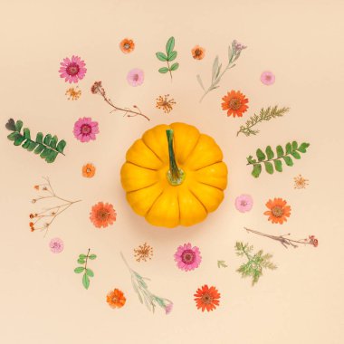 Yaratıcı en iyi görünüm düz sonbahar kompozisyon yatıyordu. Kabak çiçekleri yaprakları renk Kağıt arka plan kopya alanı kurumuş. Kare şablon sonbaharda hasat Şükran günü Cadılar Bayramı yıldönümü davetiye