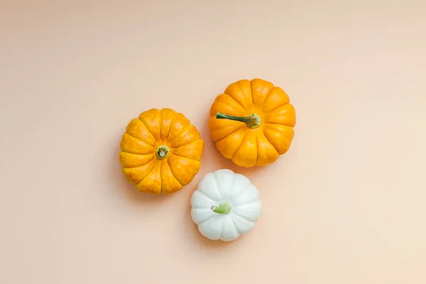 Creative Top View Flat Lay Autumn Composition Frame Concept Pumpkins — Stock Photo, Image