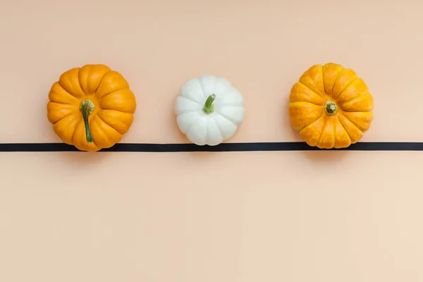 Creative Top View Flat Lay Autumn Composition Frame Concept Pumpkins — Stock Photo, Image