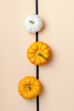 Yaratıcı en iyi görünüm düz sonbahar kompozisyon yatıyordu. Kare kavramı kabak Kağıt arka plan kopya alanı renk. Şablon sonbaharda hasat Şükran günü Cadılar Bayramı yıldönümü davetiye