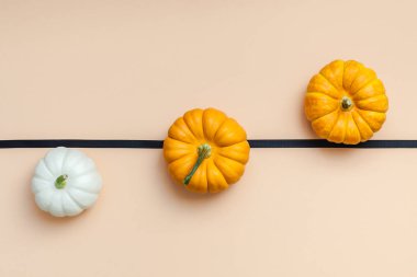 Yaratıcı en iyi görünüm düz sonbahar kompozisyon yatıyordu. Kare kavramı kabak Kağıt arka plan kopya alanı renk. Şablon sonbaharda hasat Şükran günü Cadılar Bayramı yıldönümü davetiye