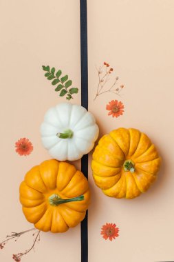 Yaratıcı en iyi görünüm düz sonbahar kompozisyon yatıyordu. Çerçeve kabakları kurutulmuş çiçek yaprakları renk Kağıt arka plan kopya alanı yaptı. Şablon sonbaharda hasat Şükran günü Cadılar Bayramı yıldönümü davetiye