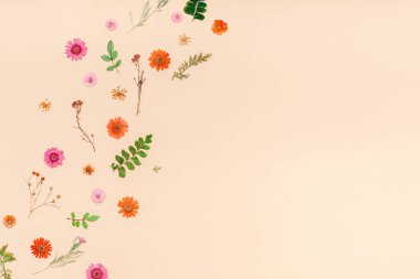 Yaratıcı en iyi görünüm düz sonbahar kompozisyon yatıyordu. Kurutulmuş çiçekler ve yapraklar renk Kağıt arka plan kopya alanı ile çerçeve yaptı. Yıldönümü davetiye düğün sonbaharda hasat için şablon