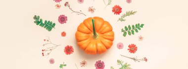 Yaratıcı en iyi görünüm düz yatıyordu sonbahar kompozisyon kabakları kurutulmuş çiçek yaprakları renkli kağıt arka plan kopyalama alanı şablonu sonbaharda hasat Şükran günü Cadılar Bayramı yıldönümü davetiye uzun geniş afiş