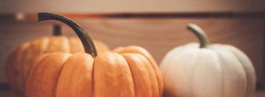 Sonbahar turuncu ve beyaz kabaklar Şükran günü Cadılar Bayramı arka plan ahşap kutu kopya alanı ile. Sonbaharda hasat ruh metin şablonu. Uzun geniş afiş