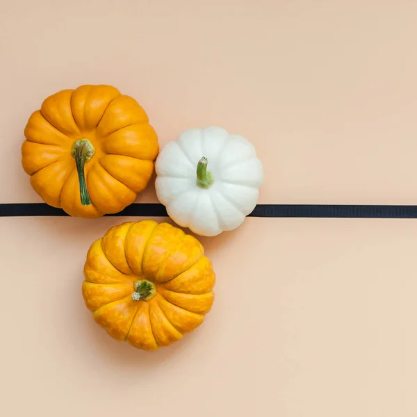 Creative Top View Flat Lay Autumn Composition Frame Concept Pumpkins — Stock Photo, Image