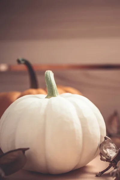 Herfst Oranje Witte Pompoenen Thanksgiving Halloween Achtergrond Houten Doos Met — Stockfoto