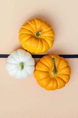 Yaratıcı en iyi görünüm düz sonbahar kompozisyon yatıyordu. Kare kavramı kabak Kağıt arka plan kopya alanı renk. Şablon sonbaharda hasat Şükran günü Cadılar Bayramı yıldönümü davetiye