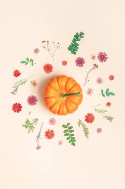 Yaratıcı en iyi görünüm düz sonbahar kompozisyon yatıyordu. Çerçeve kabakları kurutulmuş çiçek yaprakları renk Kağıt arka plan kopya alanı yaptı. Şablon sonbaharda hasat Şükran günü Cadılar Bayramı yıldönümü davetiye