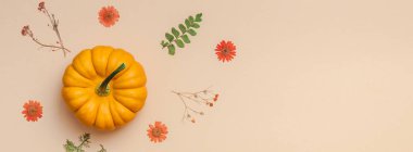 Yaratıcı en iyi görünüm düz yatıyordu sonbahar kompozisyon kabakları kurutulmuş çiçek yaprakları renkli kağıt arka plan kopyalama alanı şablonu sonbaharda hasat Şükran günü Cadılar Bayramı yıldönümü davetiye uzun geniş afiş