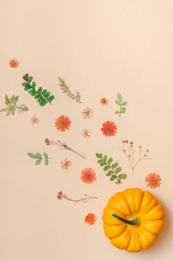 Yaratıcı en iyi görünüm düz sonbahar kompozisyon yatıyordu. Çerçeve kabakları kurutulmuş çiçek yaprakları renk Kağıt arka plan kopya alanı yaptı. Şablon sonbaharda hasat Şükran günü Cadılar Bayramı yıldönümü davetiye