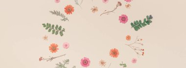 Yaratıcı en iyi görünüm düz sonbahar kompozisyon yatıyordu. Kuru çiçekler ve yapraklar renk Kağıt arka plan kopya alanı ile. Sonbaharda hasat düğün yıldönümü davetiye için şablon uzun geniş afiş