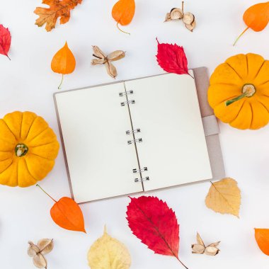 Yaratıcı en iyi görünüm düz lay kompozisyon kabakları kurutulmuş portakal çiçekleri sonbahar yaprakları arka plan kopya alanı Meydanı şablonu Not defteri mockup sonbaharda hasat Şükran günü Cadılar Bayramı yıldönümü davetiye