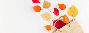 Yaratıcı en iyi görünüm düz lay kompozisyon alışveriş çantası kurutulmuş portakal çiçekleri sonbahar yaprakları arka plan kopya alanı şablonu Satılık mockup sonbaharda hasat Şükran günü Cadılar Bayramı promosyon el ilanları. Uzun geniş afiş