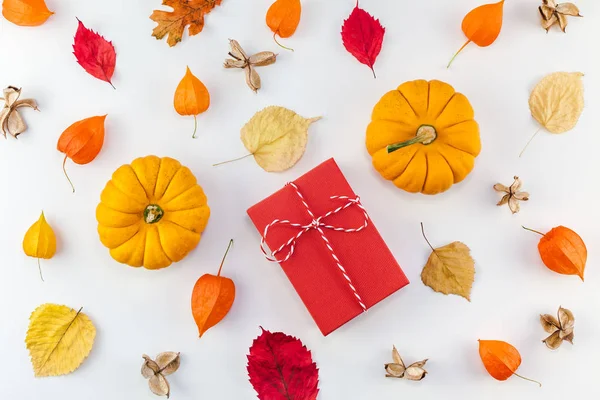 Creative Top Zobrazení Ploché Ležela Podzimní Kompozici Dýně Sušené Listy — Stock fotografie