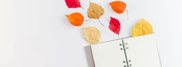 Kreative Draufsicht Flach Lag Herbst Komposition Notizbuch Getrocknete Orangefarbene Blüten — Stockfoto