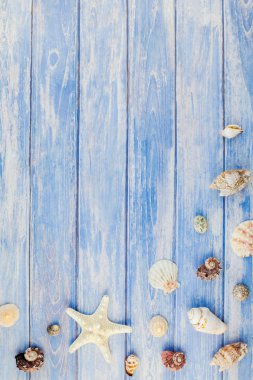 Yaratıcı düz yaz seyahat tatil kavramı yatıyordu. Kopya alanı rustik tarzı, çerçeve şablonu metin için pastel mavi ahşap plakalar zemin üzerine deniz kabuklarını ve denizyıldızı üstten görünüm