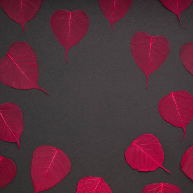 Yaratıcı en iyi görünüm düz sonbahar kompozisyon yatıyordu. Kavramı kırmızı desen çerçeve siyah arka plan kopya alan minimalizm şablon sonbahar yıldönümü davetiye bırakır.