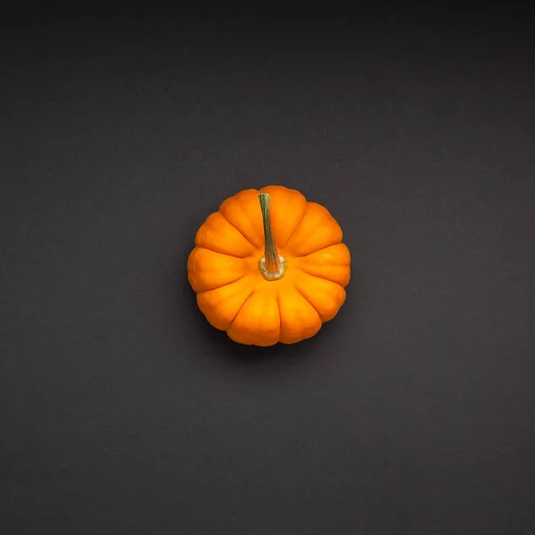 Creative Top View Flat Lay Autumn Composition Concept Small Orange — Stock Photo, Image