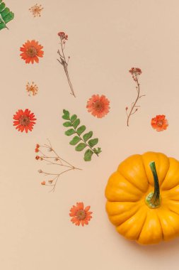 Yaratıcı en iyi görünüm düz sonbahar kompozisyon yatıyordu. Çerçeve kabakları kurutulmuş çiçek yaprakları renk Kağıt arka plan kopya alanı yaptı. Şablon sonbaharda hasat Şükran günü Cadılar Bayramı yıldönümü davetiye