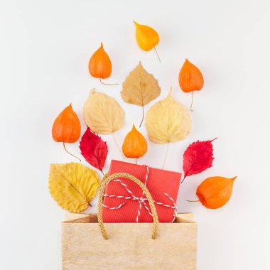 Yaratıcı en iyi görünüm düz lay kompozisyon alışveriş çantası kurutulmuş portakal çiçekleri sonbahar yaprakları arka plan kopya alanı Meydanı şablon Satılık mockup sonbaharda hasat Şükran günü Cadılar Bayramı promosyon el ilanları