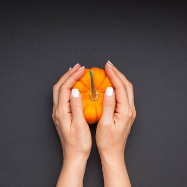 Yaratıcı en iyi görünüm düz sonbahar kompozisyon yatıyordu. Kavram Turuncu kabak eller siyah Kağıt arka plan kopya alan minimalizm şablon sonbahar hasat Şükran günü Cadılar Bayramı yıldönümü davet kartı