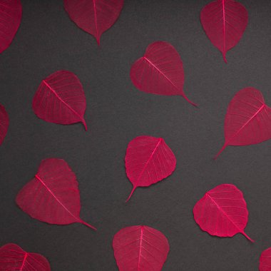 Yaratıcı en iyi görünüm düz sonbahar kompozisyon yatıyordu. Kavramı kırmızı desen çerçeve siyah arka plan kopya alan minimalizm şablon sonbahar yıldönümü davetiye bırakır.