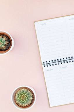 Üstten görünüm düz tasarım ofis malzemeleri ve kaktüsler succulents kopya alanı bin yıllık pembe renkli kağıt arka plan en az stili ile tarz çalışma masası yatıyordu. Kadınsı blog sosyal medya için şablon