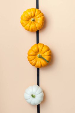 Yaratıcı en iyi görünüm düz sonbahar kompozisyon yatıyordu. Kare kavramı kabak Kağıt arka plan kopya alanı renk. Şablon sonbaharda hasat Şükran günü Cadılar Bayramı yıldönümü davetiye