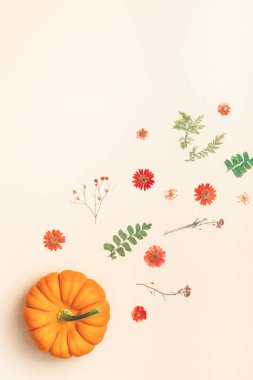 Yaratıcı en iyi görünüm düz sonbahar kompozisyon yatıyordu. Çerçeve kabakları kurutulmuş çiçek yaprakları renk Kağıt arka plan kopya alanı yaptı. Şablon sonbaharda hasat Şükran günü Cadılar Bayramı yıldönümü davetiye