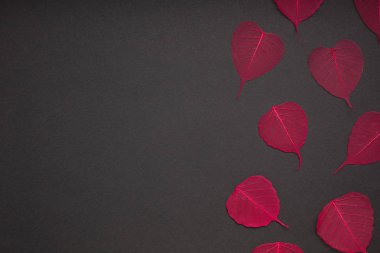 Yaratıcı en iyi görünüm düz sonbahar kompozisyon yatıyordu. Kavramı kırmızı desen çerçeve siyah arka plan kopya alan minimalizm şablon sonbahar yıldönümü davetiye bırakır.