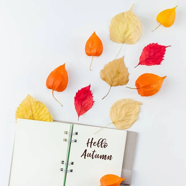 創造的な平面図フラット横たわっていたノートブック乾燥オレンジの花葉の背景コピー スペース テンプレート正方形メモ帳モックアップ秋秋の組成収穫感謝祭ハロウィーン周年記念招待カード — ストック写真
