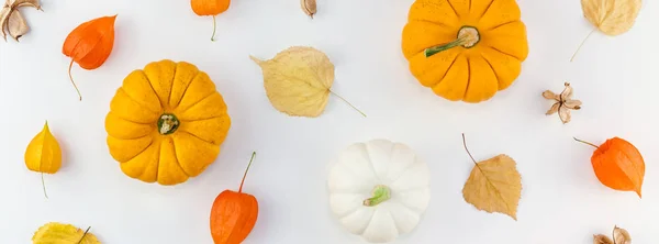 Creative Top Zobrazení Ploché Ležela Podzimní Kompozici Dýně Sušené Pomerančové — Stock fotografie