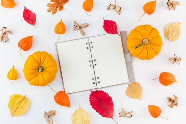 Creative Top view flat lay autumn composition. Pumpkins dried orange flowers leaves background copy space. Template notepad mockup fall harvest thanksgiving halloween anniversary invitation cards