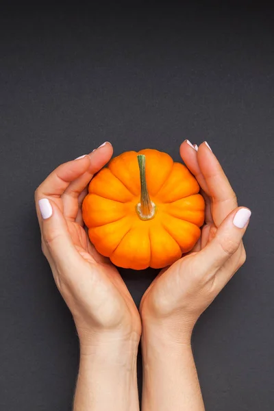 Creative Top View Flat Lay Autumn Composition Concept Orange Pumpkin — Stock Photo, Image