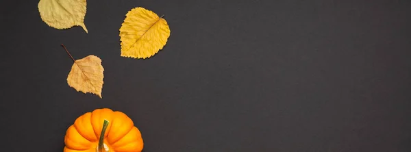 Kreativa Top Visa Platt Låg Hösten Sammansättning Konceptet Små Orange — Stockfoto