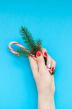 Köknar şube tatlı kamışı kopya alanı turkuaz mavi renk Kağıt arka plan stili en az tutarak yeni yıl veya Noel üstten görünüm Xmas tatil kutlama kadın el Kırmızı manikür. Şablon tebrik kartı