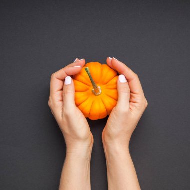 Yaratıcı en iyi görünüm düz sonbahar kompozisyon yatıyordu. Kavram Turuncu kabak eller siyah Kağıt arka plan kopya alan minimalizm şablon sonbahar hasat Şükran günü Cadılar Bayramı yıldönümü davet kartı