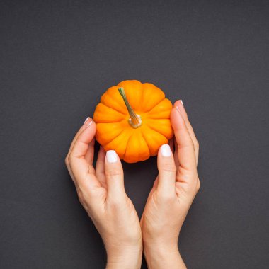 Yaratıcı en iyi görünüm düz sonbahar kompozisyon yatıyordu. Kavram Turuncu kabak eller siyah Kağıt arka plan kopya alan minimalizm şablon sonbahar hasat Şükran günü Cadılar Bayramı yıldönümü davet kartı