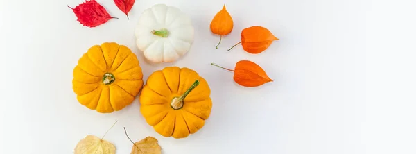 Creative Top View Flat Lay Autumn Composition Pumpkins Dried Orange — Stock Photo, Image