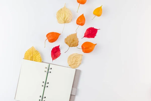 Creative Top Vista Plana Leigos Composição Outono Notebook Flores Laranja — Fotografia de Stock