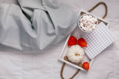 Yaratıcı üst düz yatıyordu eşik hayat sonbahar kompozisyon görüntüleyin. Sıcak kakao kahve çikolata marshmallow kupa kabaklar yatakta tepsi ile. Kavram sonbahar rahat sıcak ev konfor sabah doğal ışık