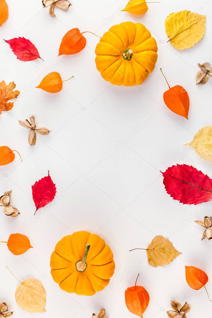 Creative Top view flat lay autumn composition. Pumpkins dried orange flowers leaves background copy space. Template frame fall harvest thanksgiving halloween anniversary invitation cards