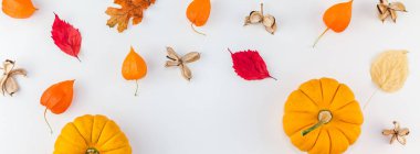 Yaratıcı en iyi görünüm düz sonbahar kompozisyon yatıyordu. Kabak portakal çiçekleri yaprakları arka plan kopya alanı kurumuş. çerçeve sonbaharda hasat Şükran günü Cadılar Bayramı yıldönümü davetiye kartları. Uzun geniş afiş