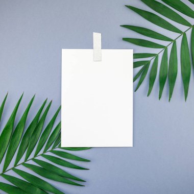 Mavi gri kağıt arka plan kopya alanı üzerinde tropikal palmiye yaprakları yaratıcı düz yatıyordu üstten görünüm boş kağıt sayfası kartpostal Pano yeşil yukarı alay etmek. En az tropikal palmiye yaprağı bitki yaz kare şablonu