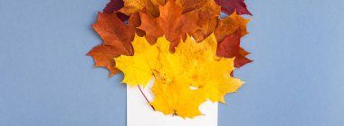 Yaratıcı en iyi görünüm düz sonbahar kavramı kompozisyon yatıyordu. Zarf kurutulmuş parlak sonbahar yaprakları mavi arka plan kopya alanı şablonu sonbahar düğün yıldönümü davetiye uzun geniş Şükran afiş