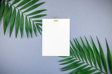 Mavi gri kağıt arka plan kopya alanı üzerinde tropikal palmiye yaprakları yaratıcı düz yatıyordu üstten görünüm boş kağıt sayfası kartpostal Pano yeşil yukarı alay etmek. En az tropikal palmiye yaprağı bitki yaz kavramı şablonu