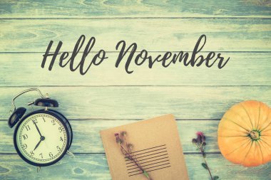 Sonbahar turuncu kabak ve Kuru çiçekler görünümünü ana sayfa ve kopya alanı ile mavi tonda ahşap masa üzerinde kutusu Şükran günü arka planda çim. Sonbaharda hasat ruh metin için şablon