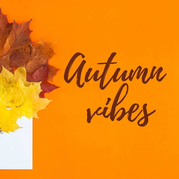 創造的なトップ ビュー フラット置く秋の概念構成 封筒は 明るい秋葉オレンジ ペーパー バック グラウンド コピー空間を乾燥させます 模擬結婚式の周年記念招待カード秋の感謝祭を振り出し — ストック写真